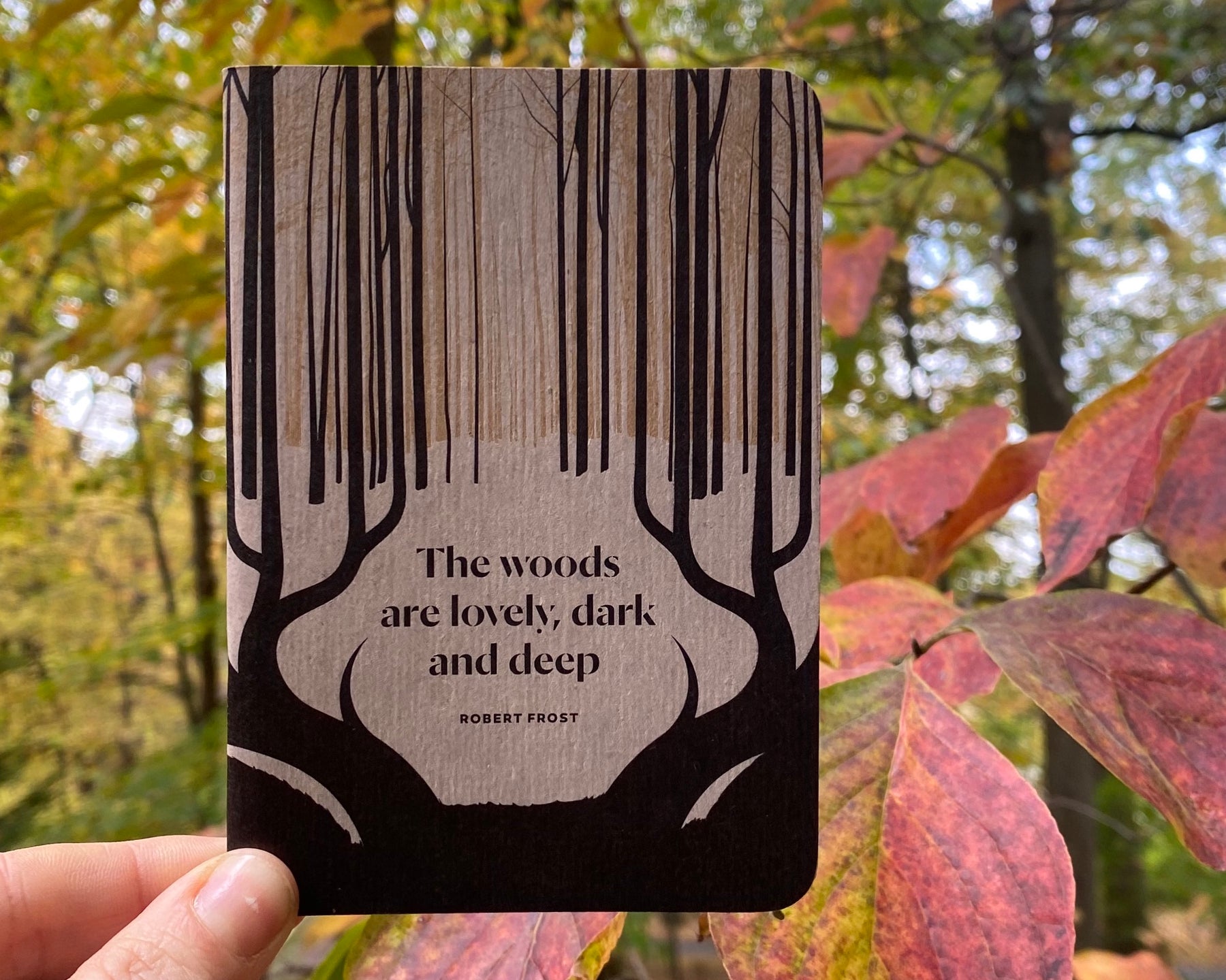 Lovely, Dark & Deep