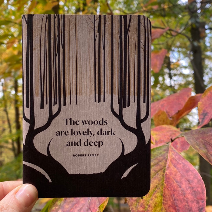 Lovely, Dark & Deep