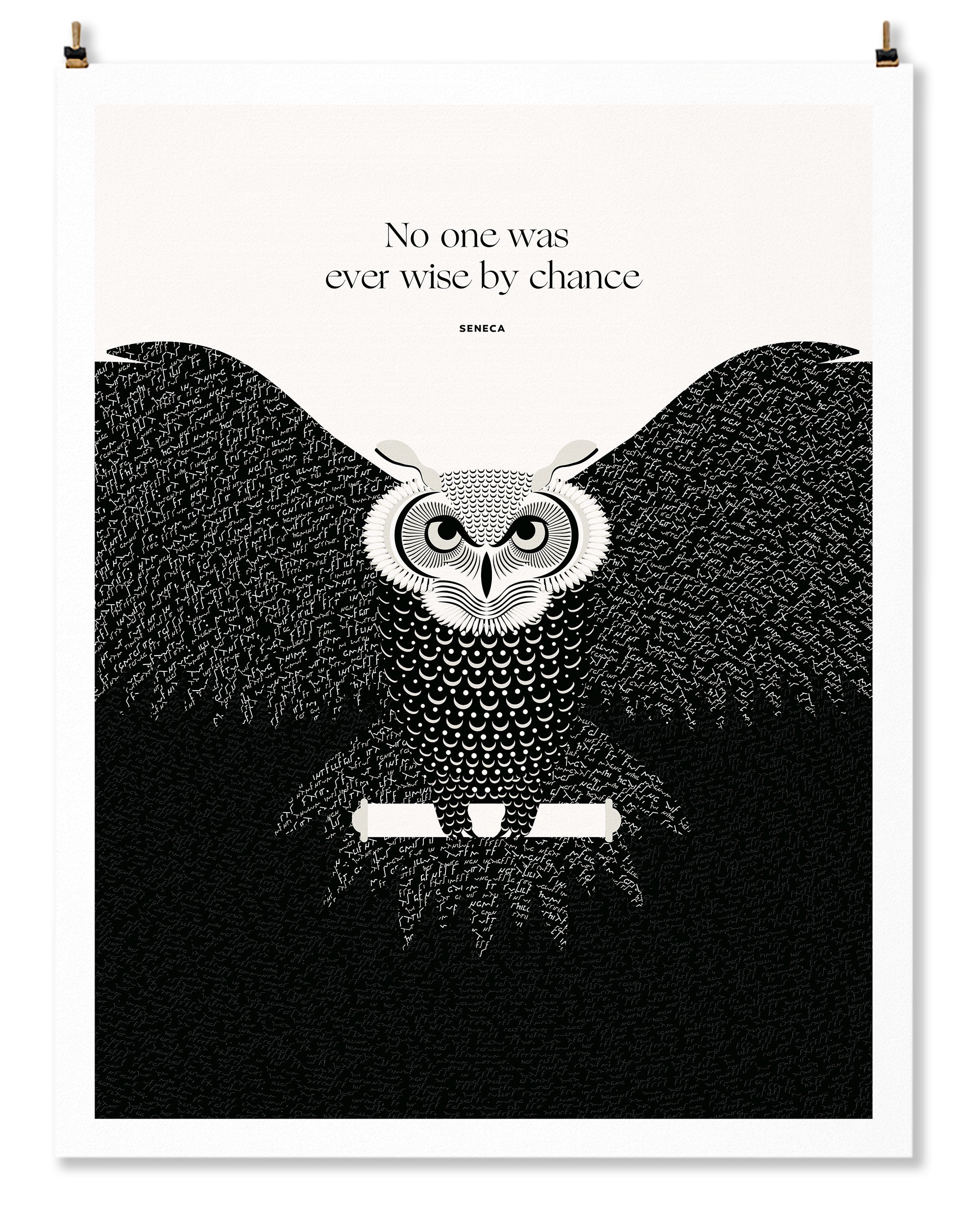 Wise by Chance