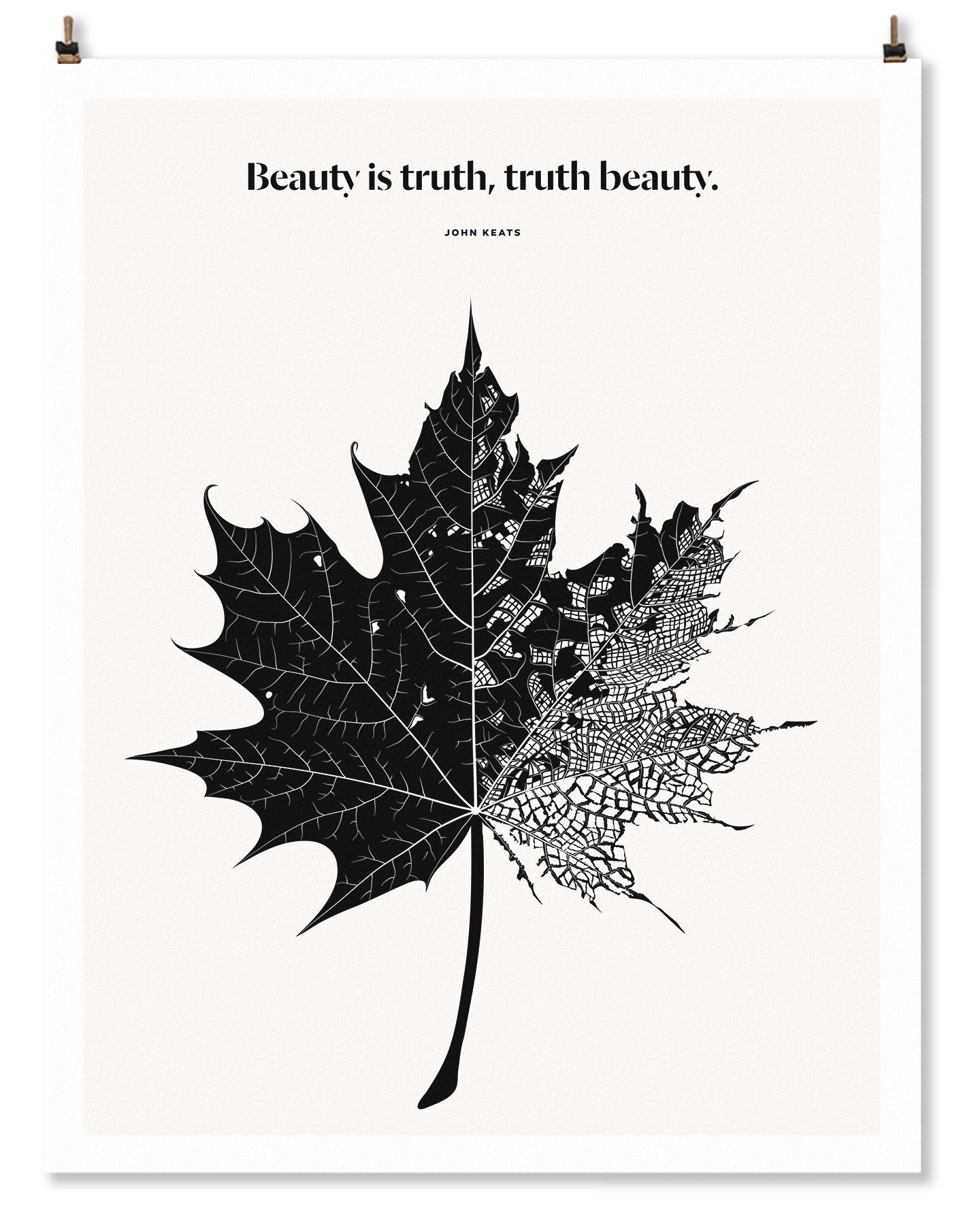 Beauty is Truth